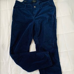 Blue Velvet Pants